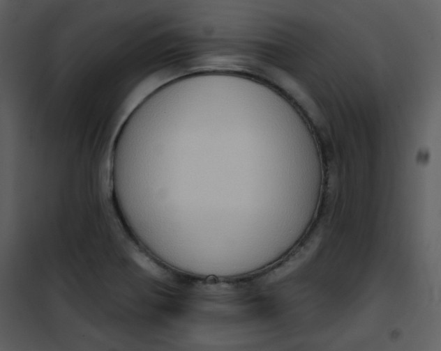 X0000101151370200807181324