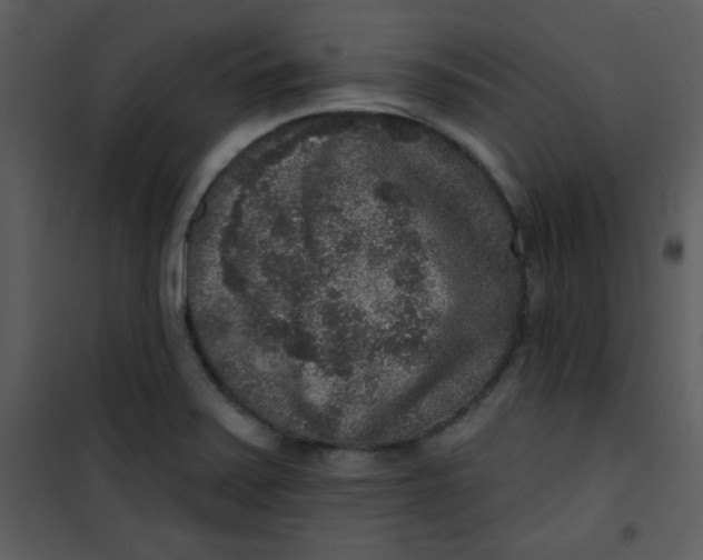 X0000101151371200807181324