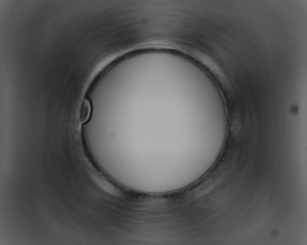 X0000101151372200807181324