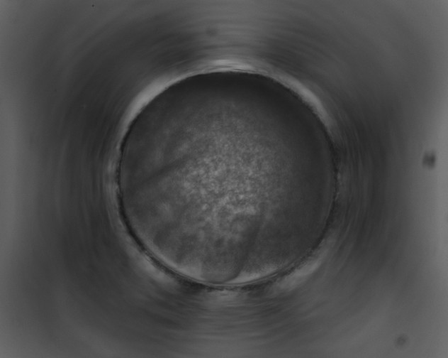 X0000101151373200807181324