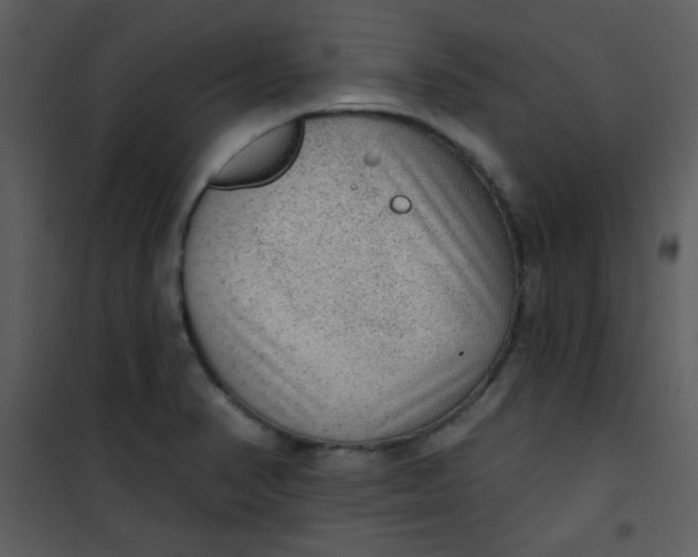 X0000101151374200807181324