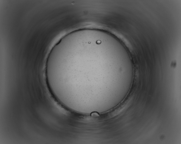 X0000101151375200807181324