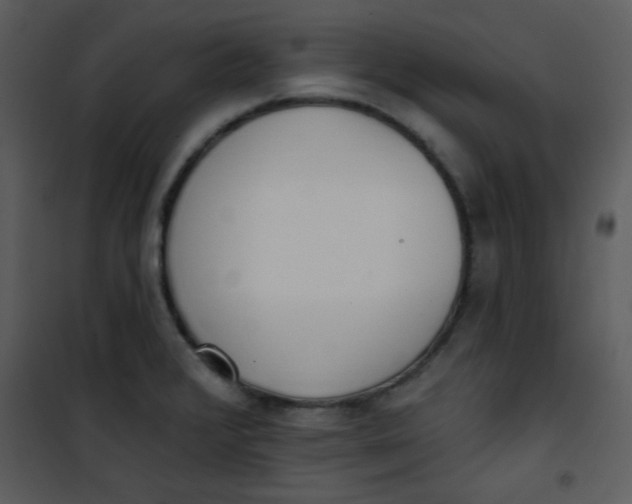 X0000101151376200807181324