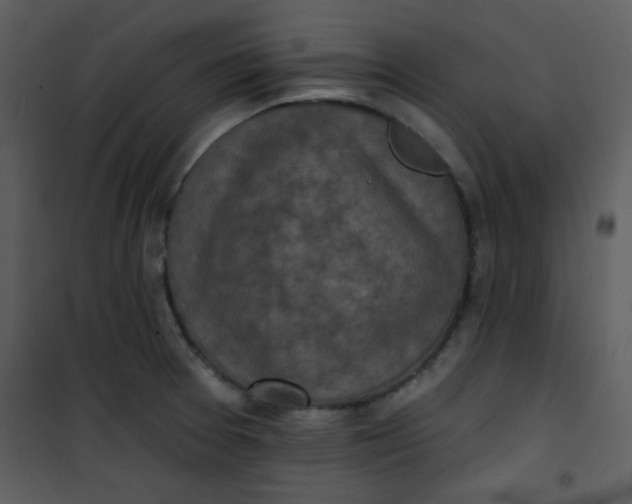 X0000101151377200807181324