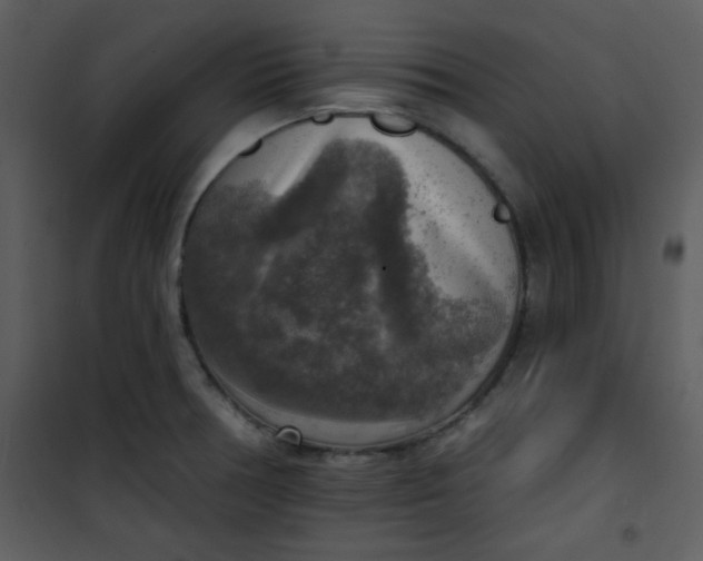 X0000101151378200807181324