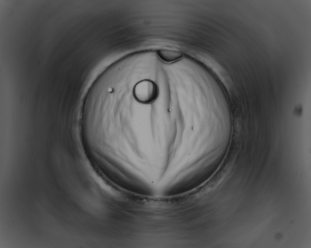 X0000101151379200807181324