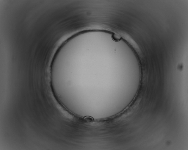 X0000101151380200807181324