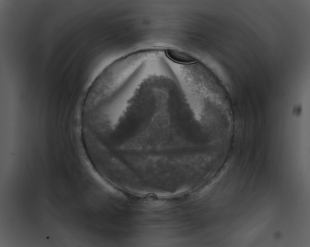 X0000101151382200807181323