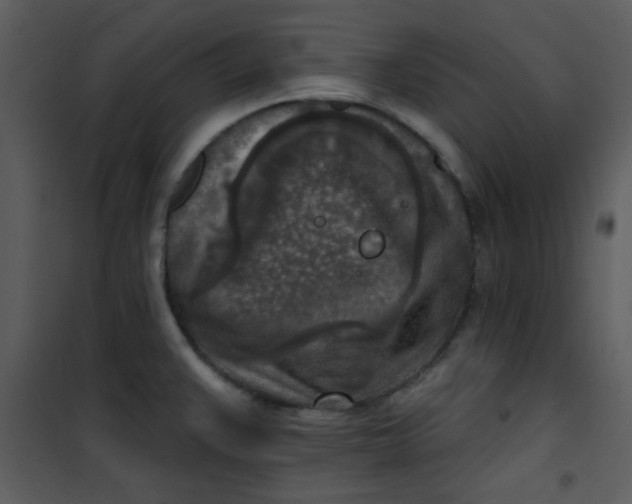 X0000101151383200807181323