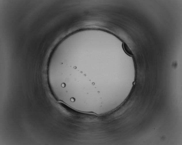 X0000101151384200807181323