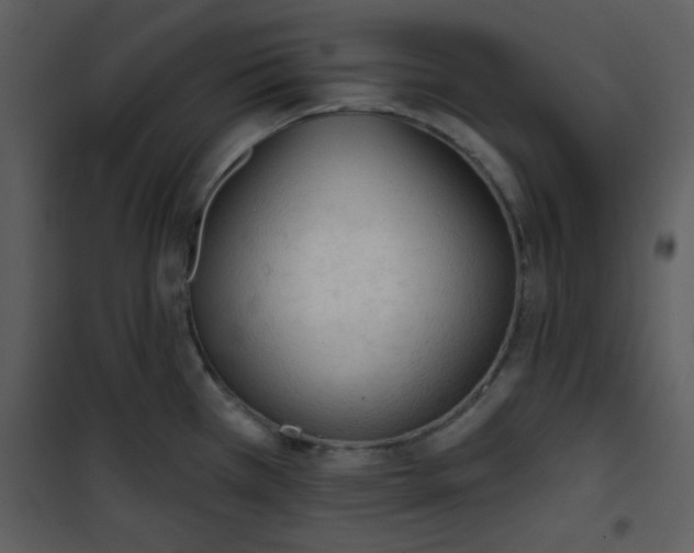 X0000101151385200807181323