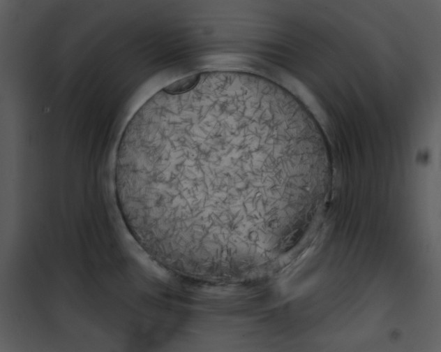 X0000101151386200807181323