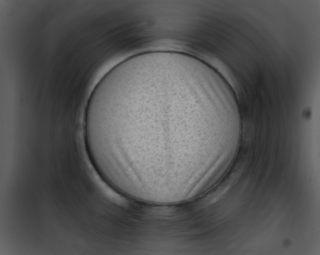 X0000101151387200807181323