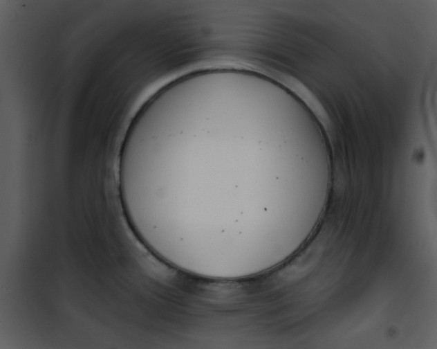 X0000101151388200807181323