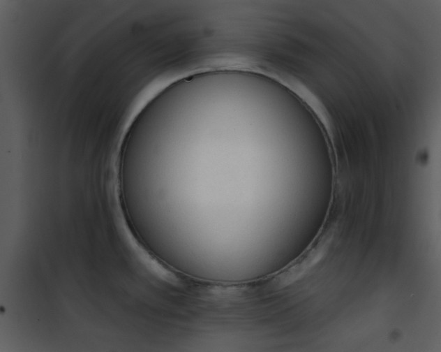 X0000101151389200807181323