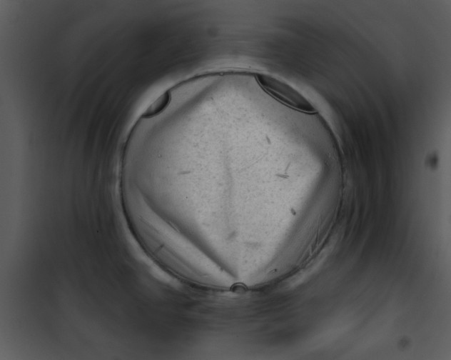 X0000101151390200807181323