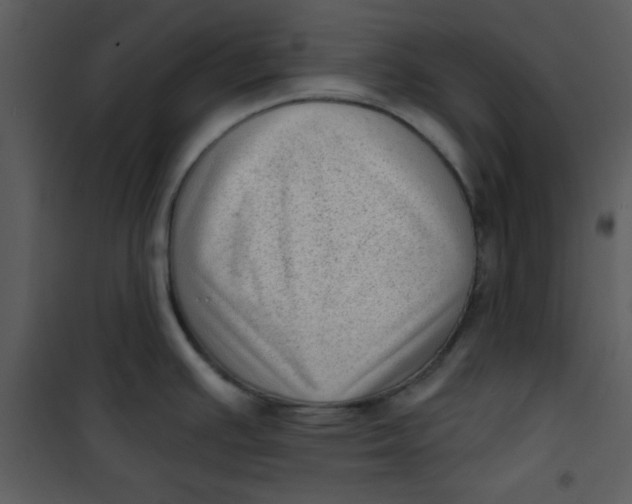 X0000101151391200807181323