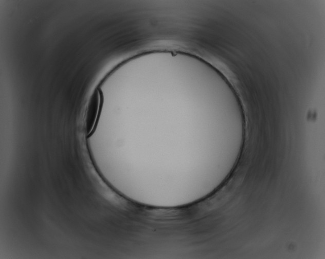 X0000101151392200807181323