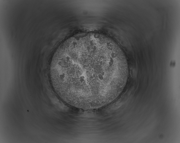 X0000101151393200807181322