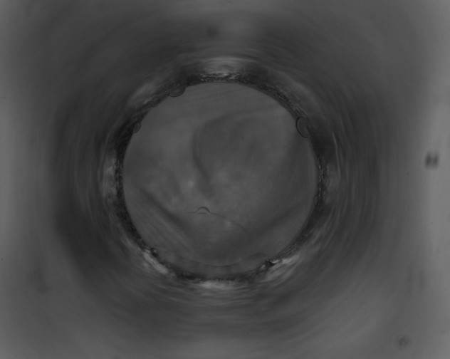 X0000101151394200807181322