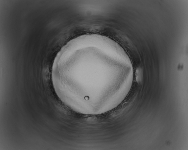 X0000101151395200807181322