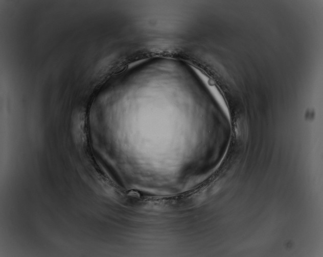 X0000101151396200807181322