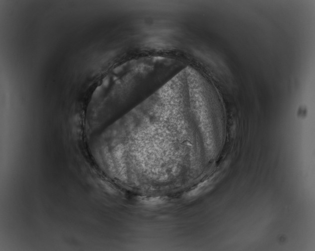 X0000101151397200807181323