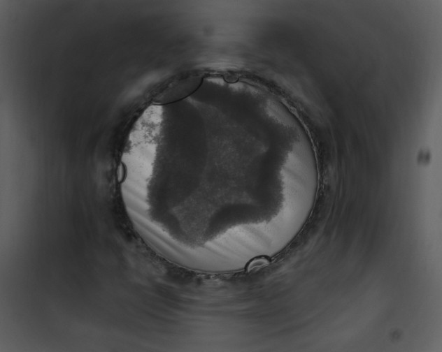 X0000101151398200807181323