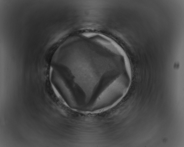 X0000101151399200807181323