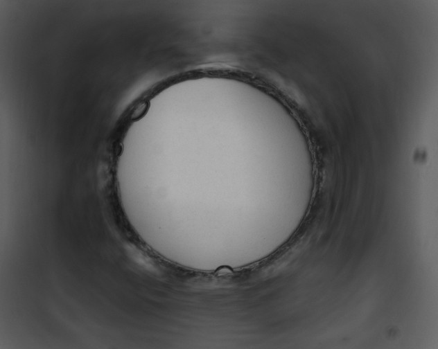 X0000101151400200807181323