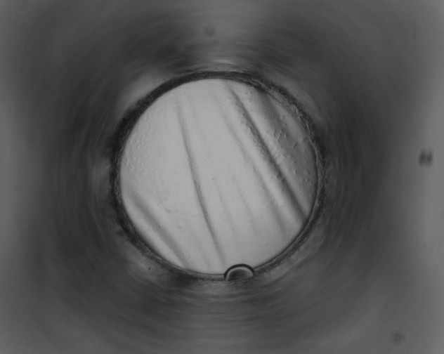 X0000101151402200807181323