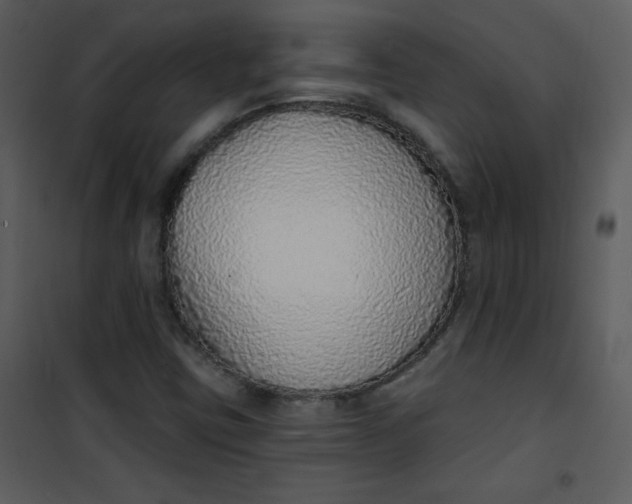 X0000101151403200807181323