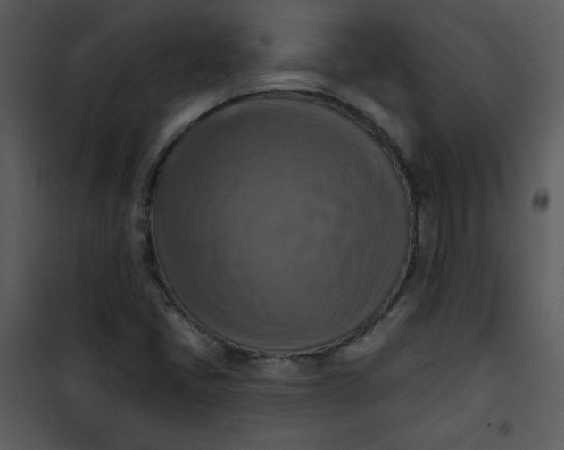 X0000101151405200807181323