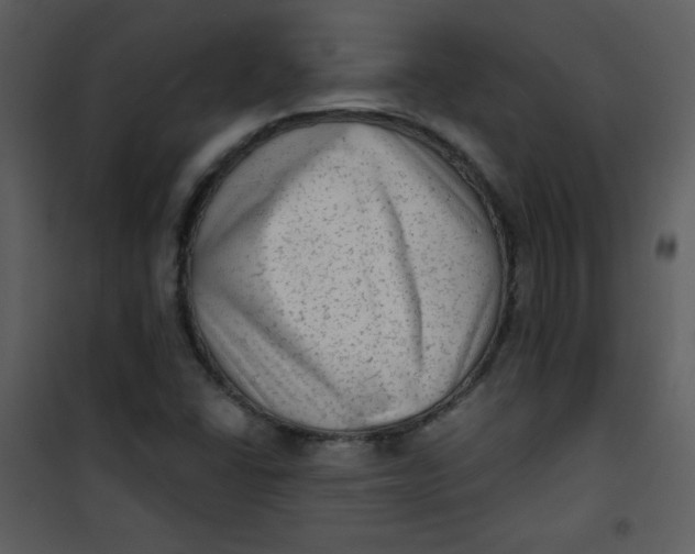 X0000101151406200807181323