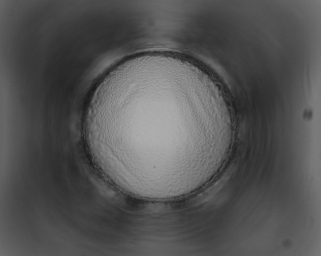 X0000101151407200807181323