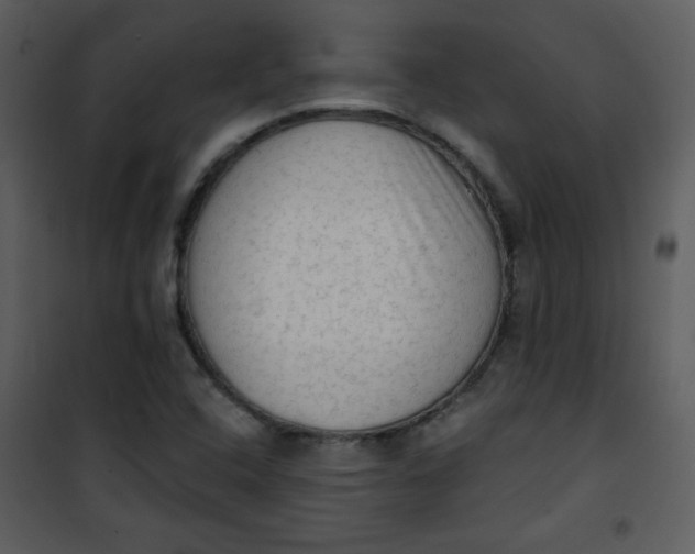 X0000101151408200807181323