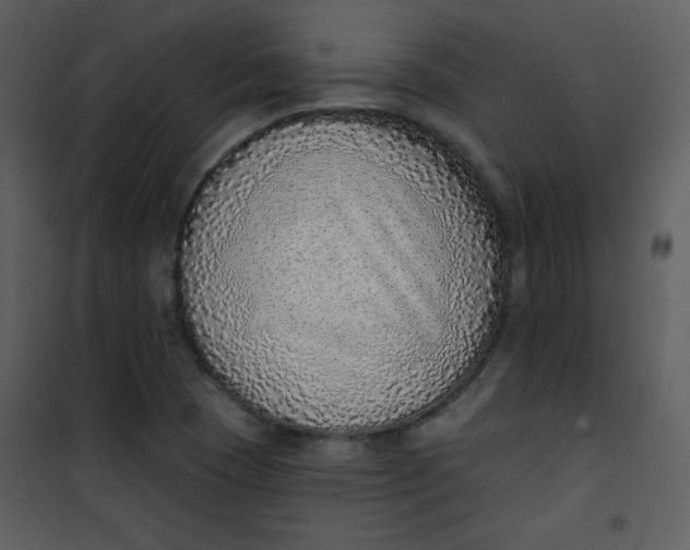 X0000101151409200807181323