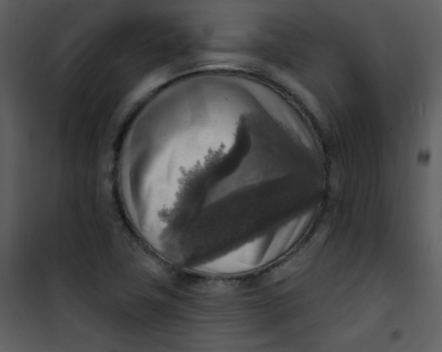 X0000101151411200807181323