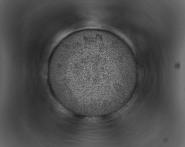 X0000101151415200807181323