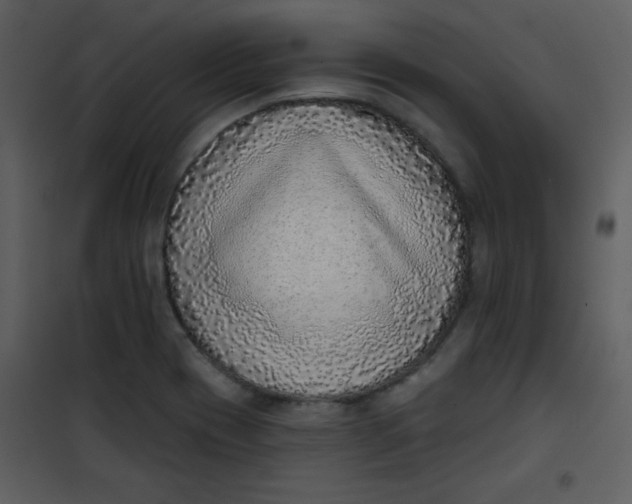 X0000101151417200807181323