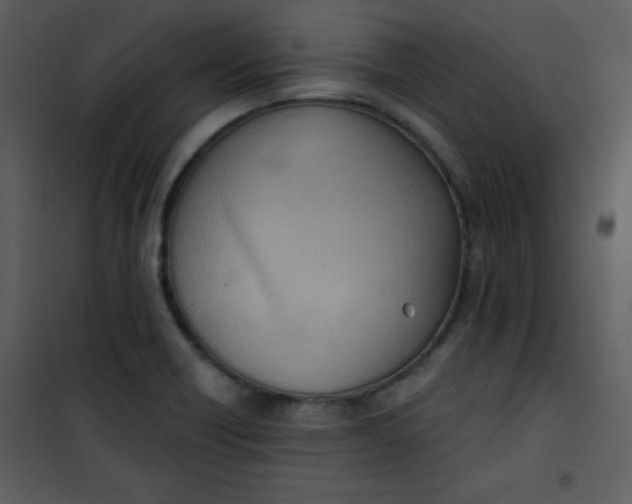 X0000101151418200807181323