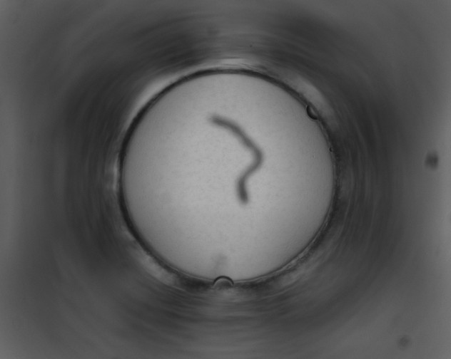 X0000101151420200807181323