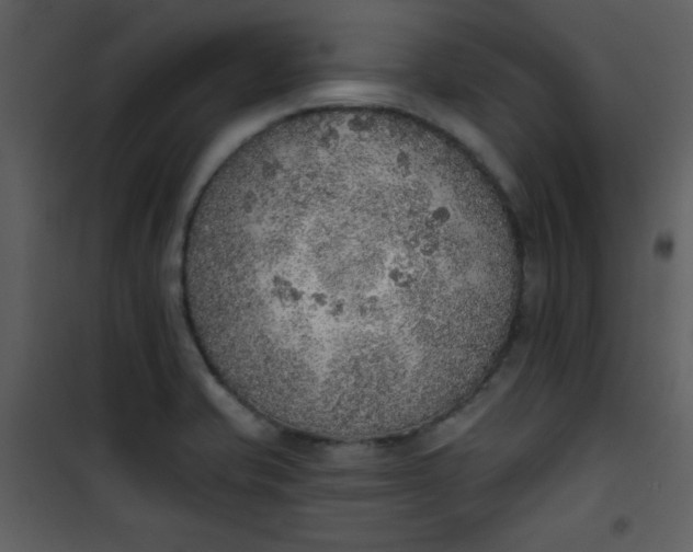 X0000101151421200807181323