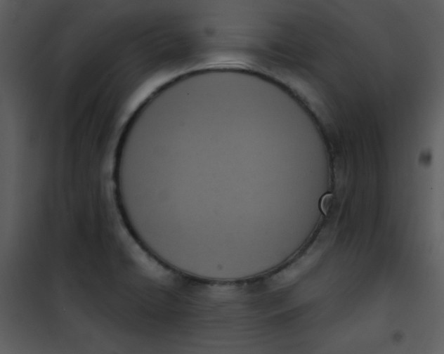 X0000101151422200807181323