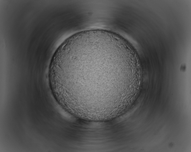 X0000101151423200807181323