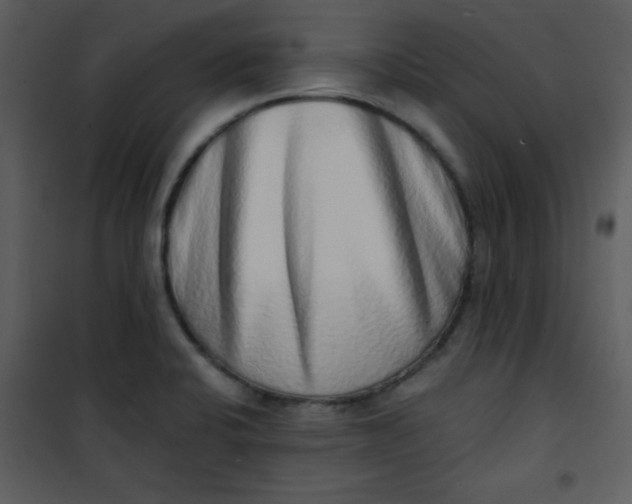 X0000101151424200807181323