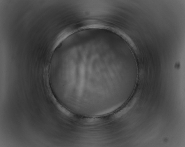 X0000101151425200807181323