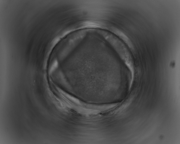 X0000101151427200807181323