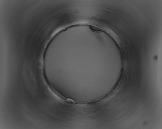 X0000101151428200807181323