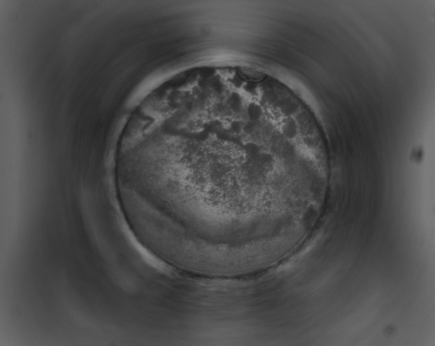 X0000101151429200807181323